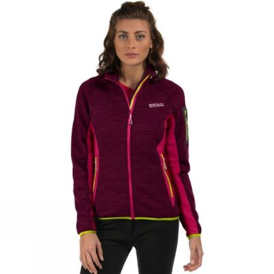 Regatta Laney II - Női Fleece - Fukszia (Magyarország GCT059273)